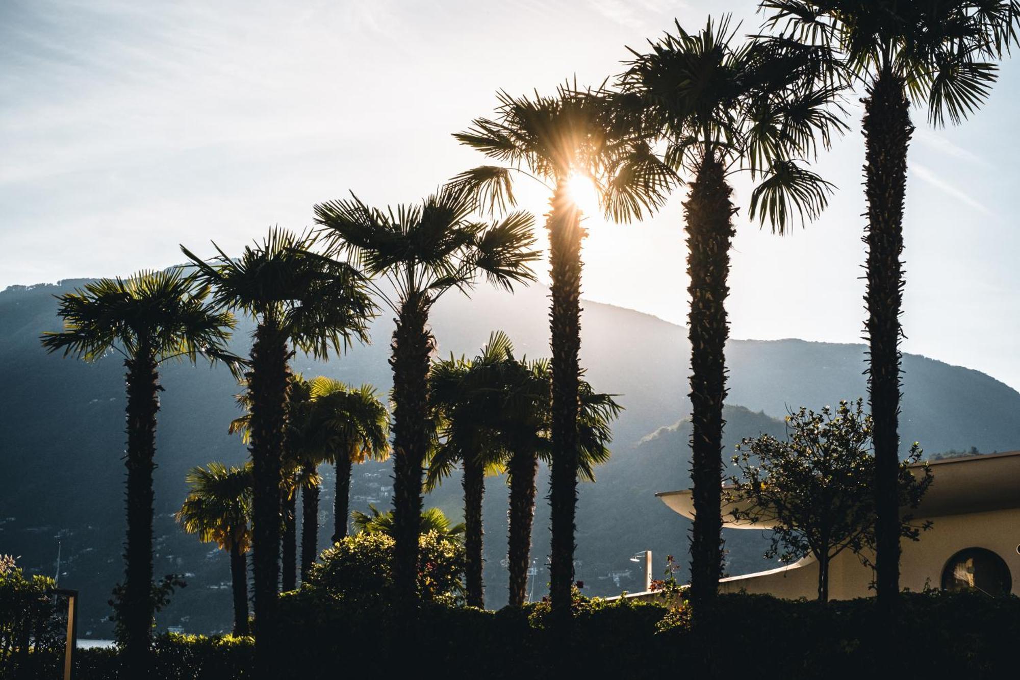 Eden Roc Marina Hotel Ascona Dış mekan fotoğraf